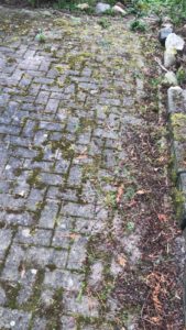 Referenzen, Referenzen,